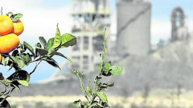 Alimentación e industria, las principales actividades de las 50 mejores medianas empresas españolas