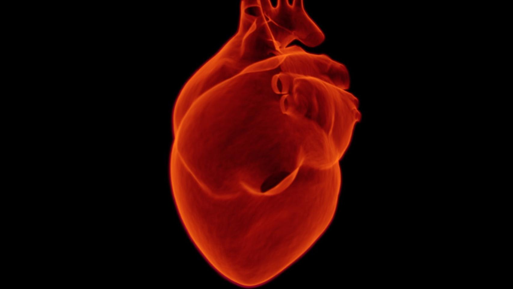 Corazón humano.