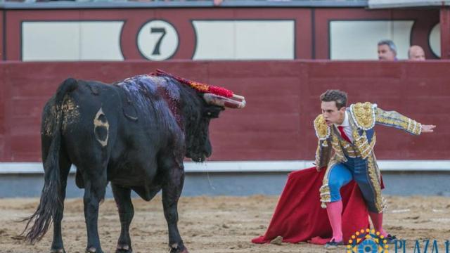 Desplante del novillero francés con un novillo de Los Chospes