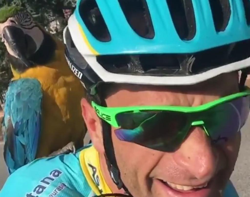 Michele Scarponi, durante un entrenamiento con su loro Frankje.