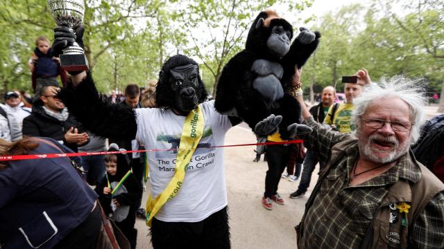 Mister Gorila al cruzar la meta de Londres.
