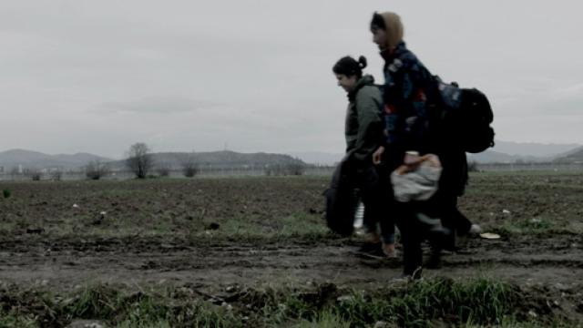 Image: Agitación en el museo