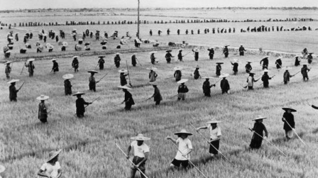 Image: La gran hambruna en la China de Mao