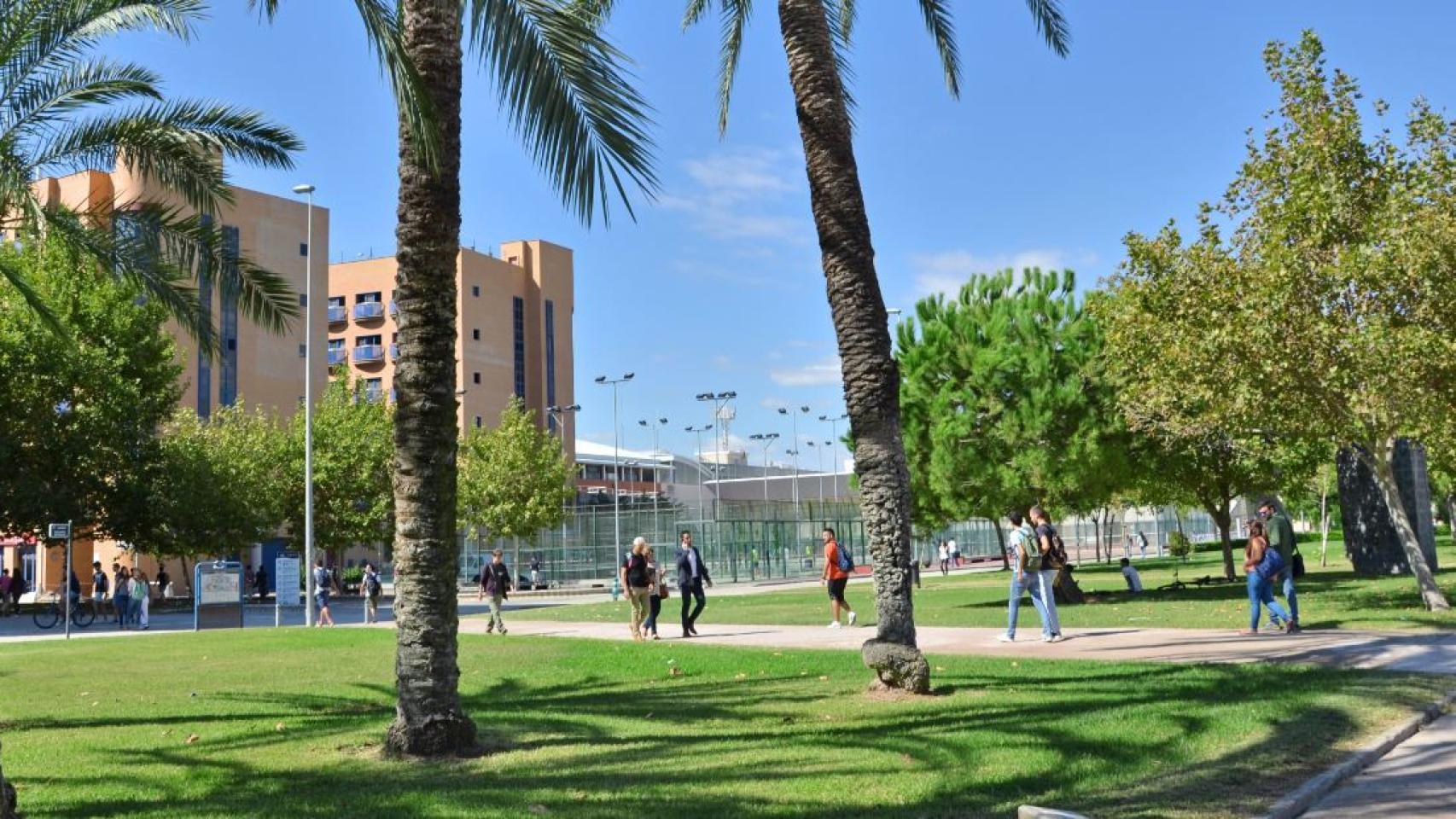 Campus de la Universidad Politécnica de Valencia.