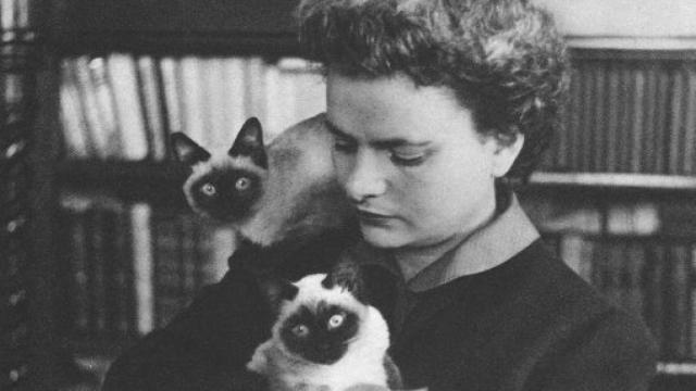 Image: Elsa Morante, un rescate necesario