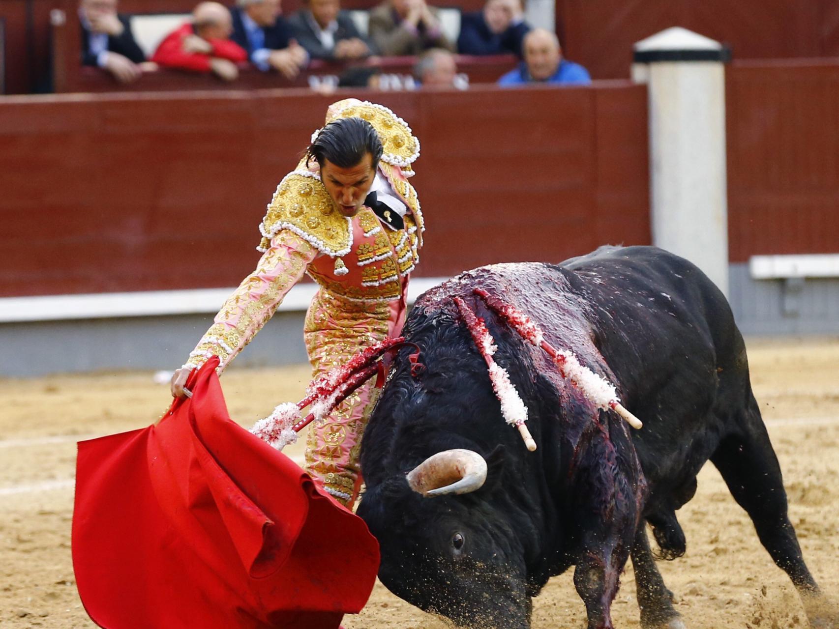Derechazo de David Mora al quinto de la tarde, que se lo dejó vivo