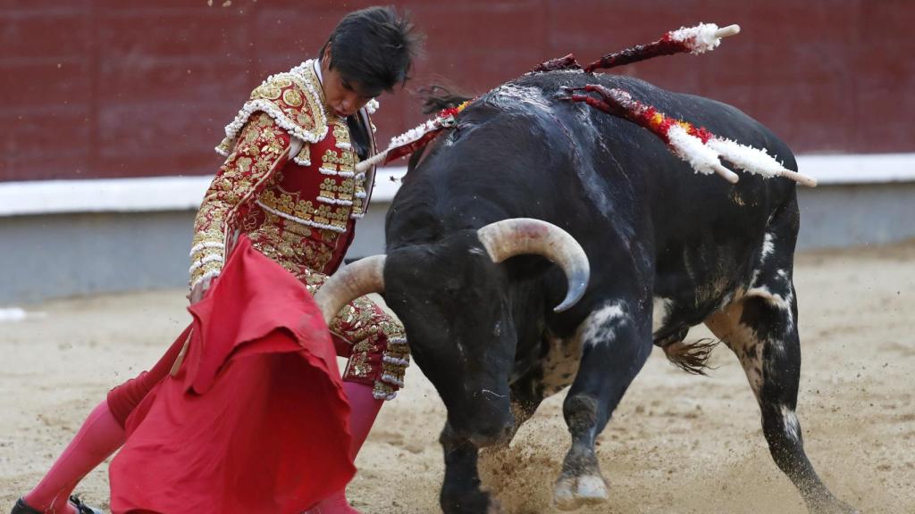 Doblón de Colombo, que dio una vuelta al ruedo