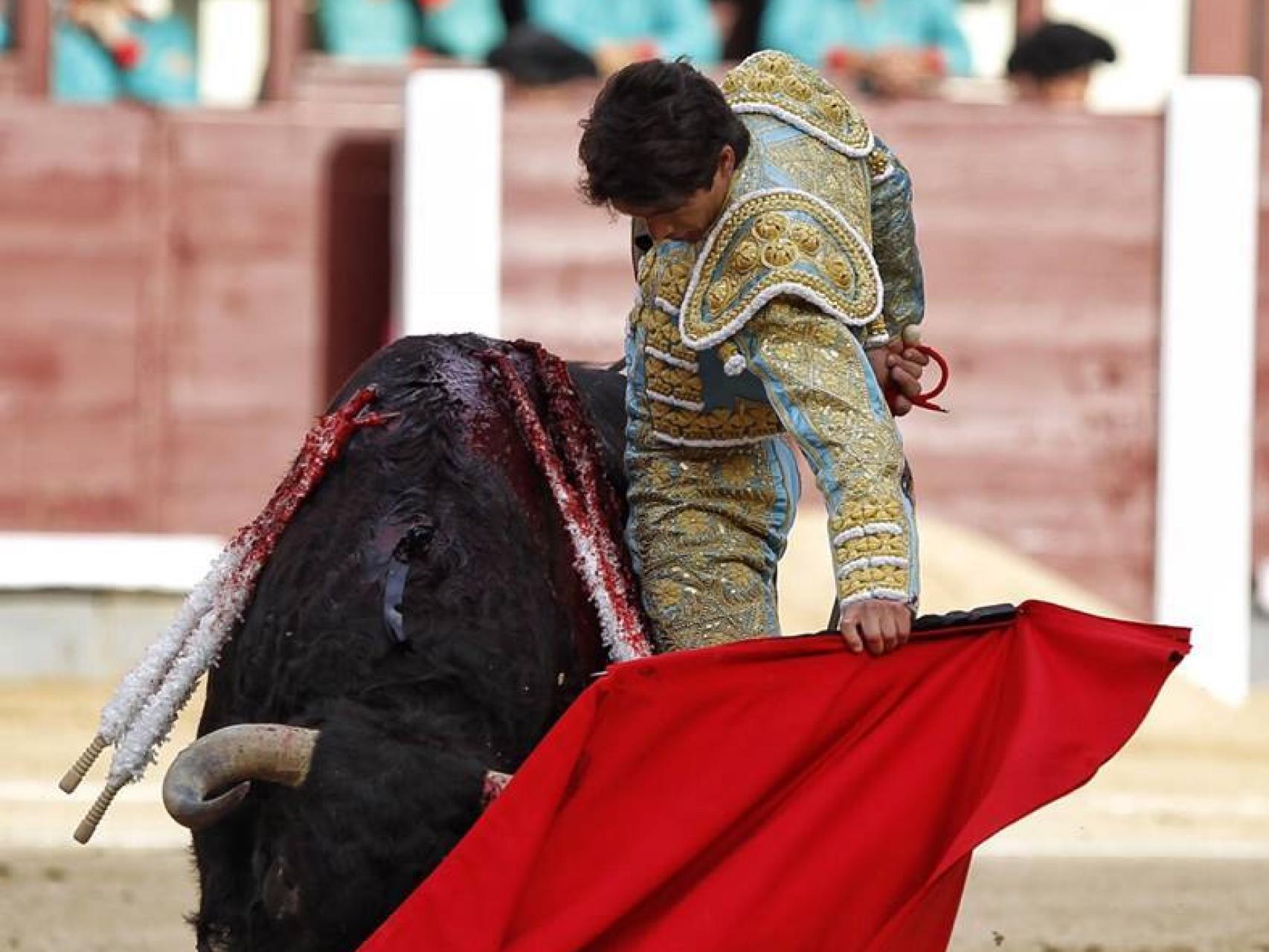 Reunido natural de Castella a Hebreo, premiado con la vuelta al ruedo en el arrastre