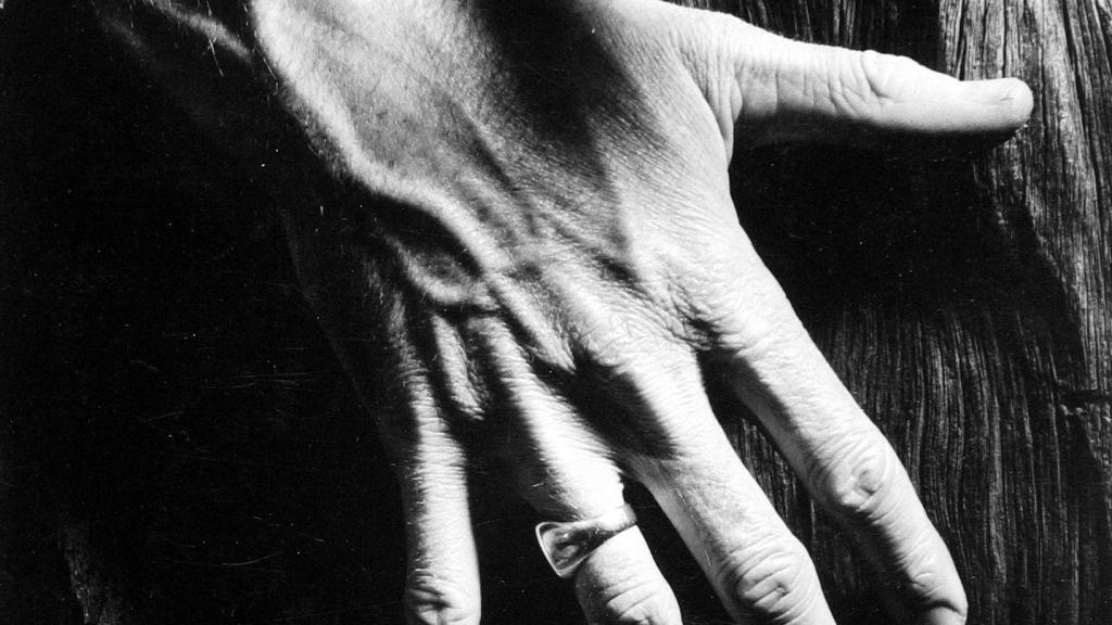 Minor WHITE. Untitled. c. 1964. Courtesy Howard Greenberg Gallery NY