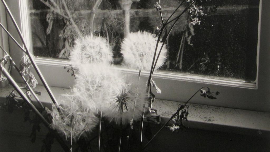 Minor WHITE. 72 N. Union Street%2c Rochester 1958. Courtesy Howard Greenberg Gallery NY