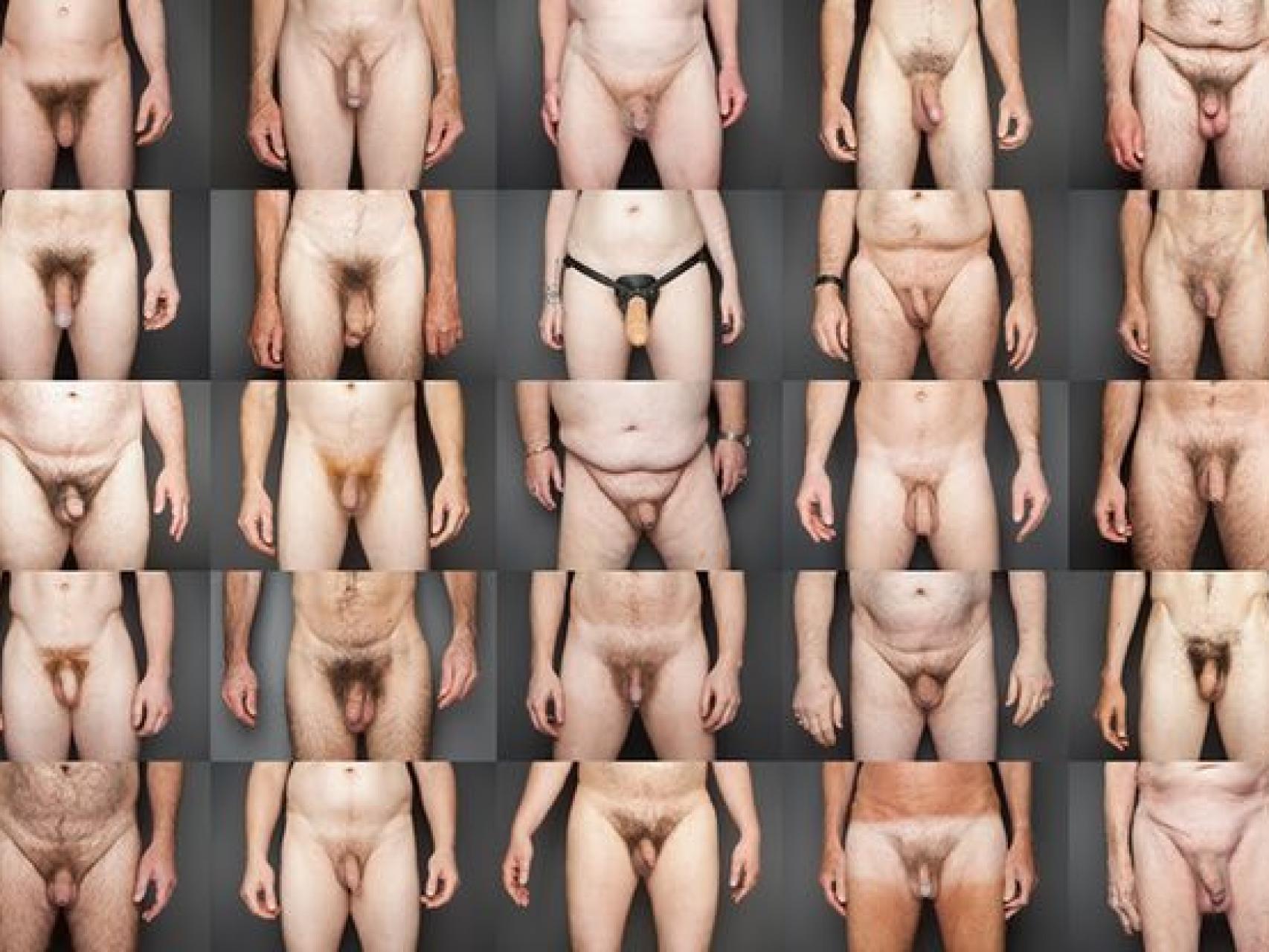 Algunos de los penes fotografiados por Laura Dodsworth.