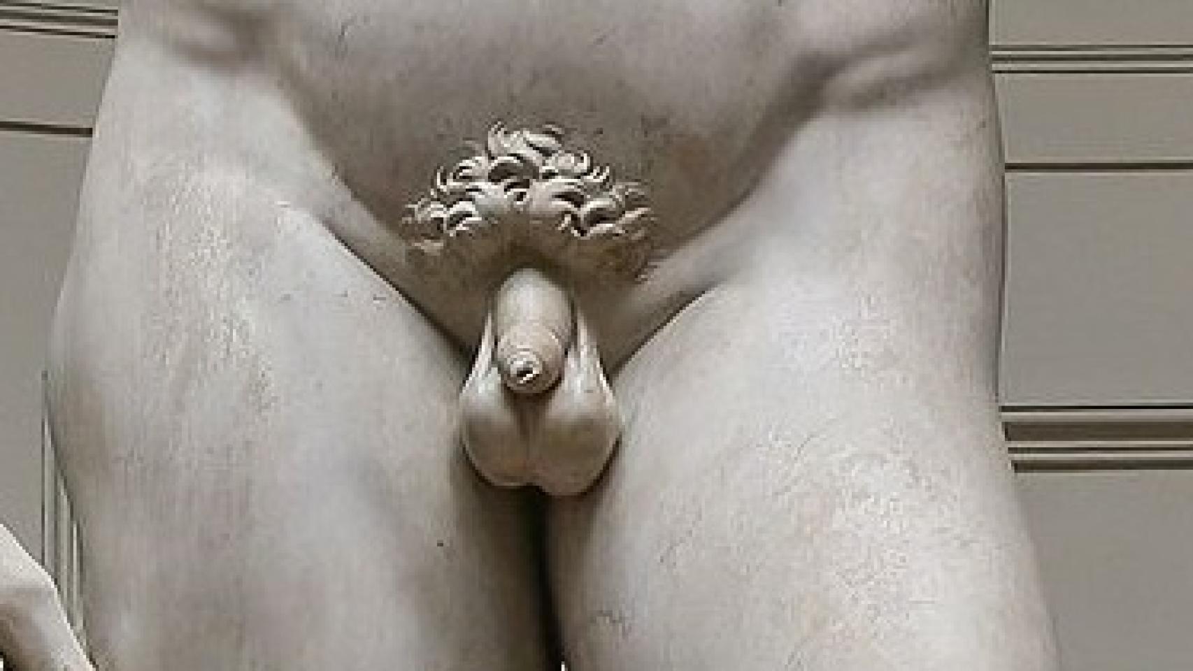 Siete cosas que no sabías sobre los testículos