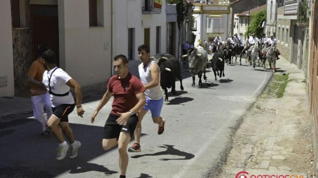 Encierro popular en Hinojosa de Duero