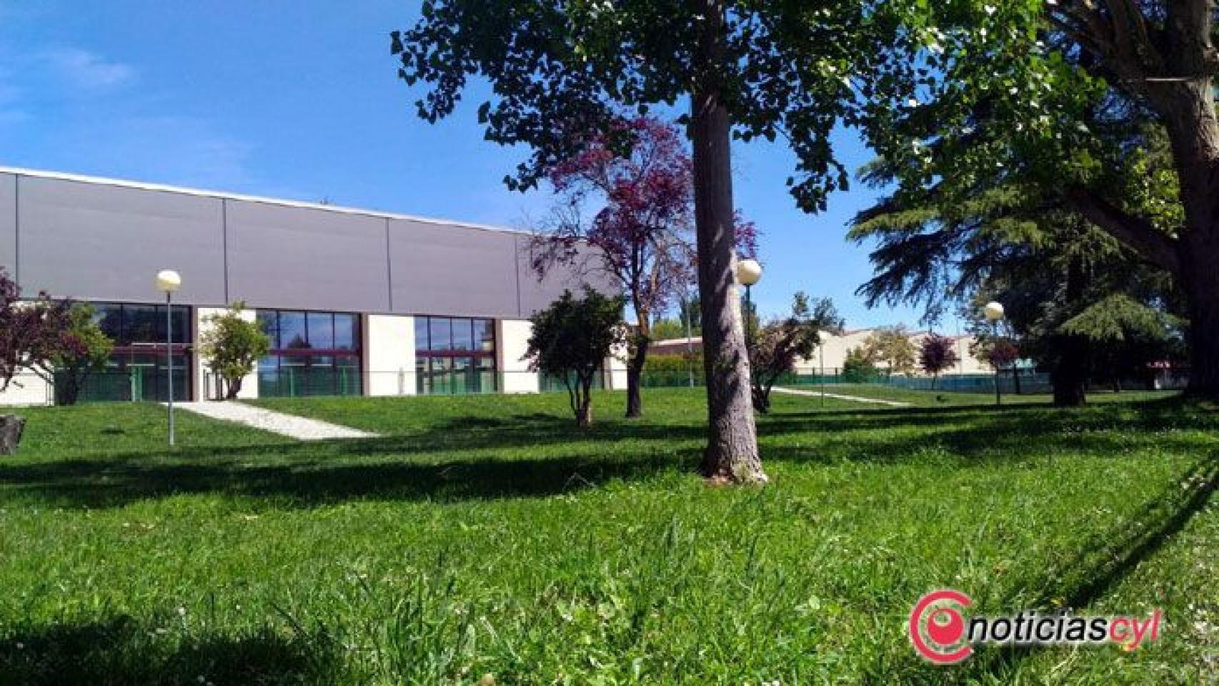 zamora cesped piscina sindical 1