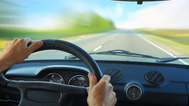 Mosquitos y alergia, cómo manejar estas situaciones al volante