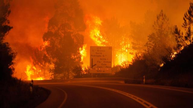 El incendio ha afectado la zona de Pedrógão Grande.