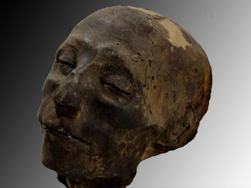 Cabeza de Nebiri, dignatario egipcio