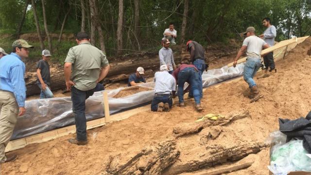 Un grupo de voluntarios, liderados por dos arqueólogos, protegen la canoa
