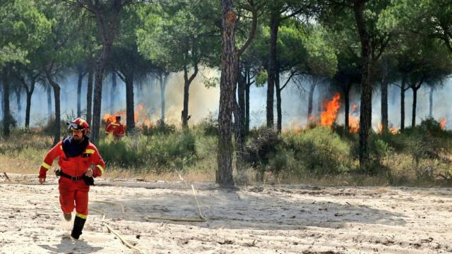 Los bomberos trabajan para tratar de apagar las llamas.