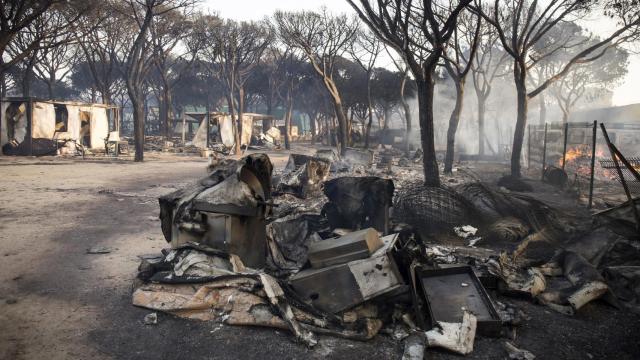 Así quedó una de las zonas asoladas por el incendio de Moguer.