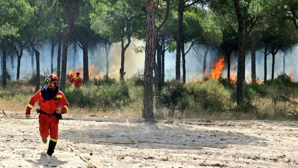 Doñana arde.