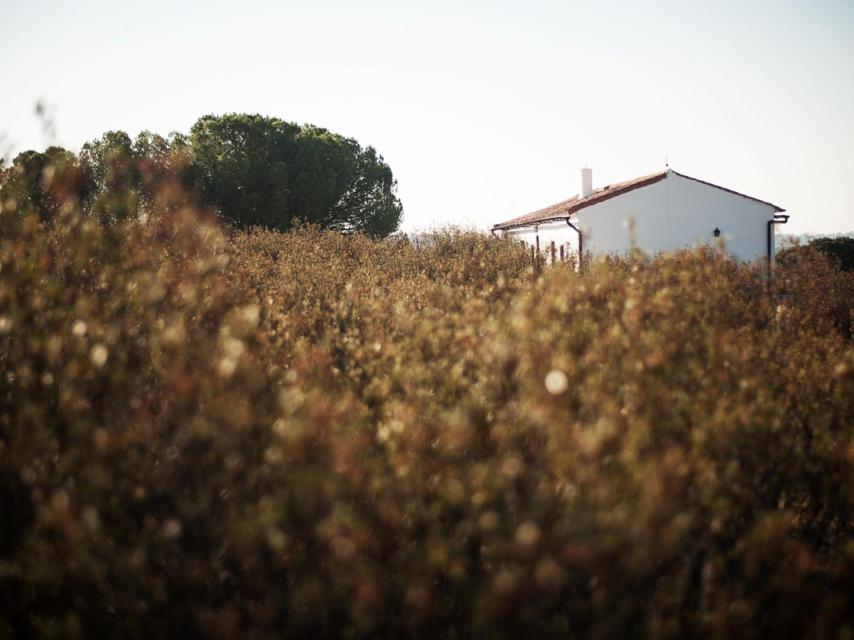 Una de las fotografías de Barro Rojo, la exposición de Javier Marquerie.