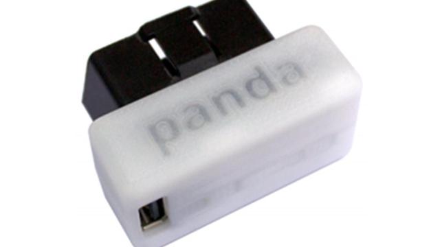 panda 1
