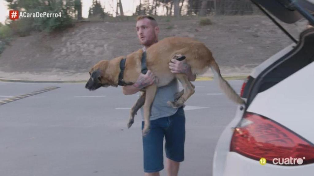 Manipulación en 'A cara de perro': así engañaron a la audiencia