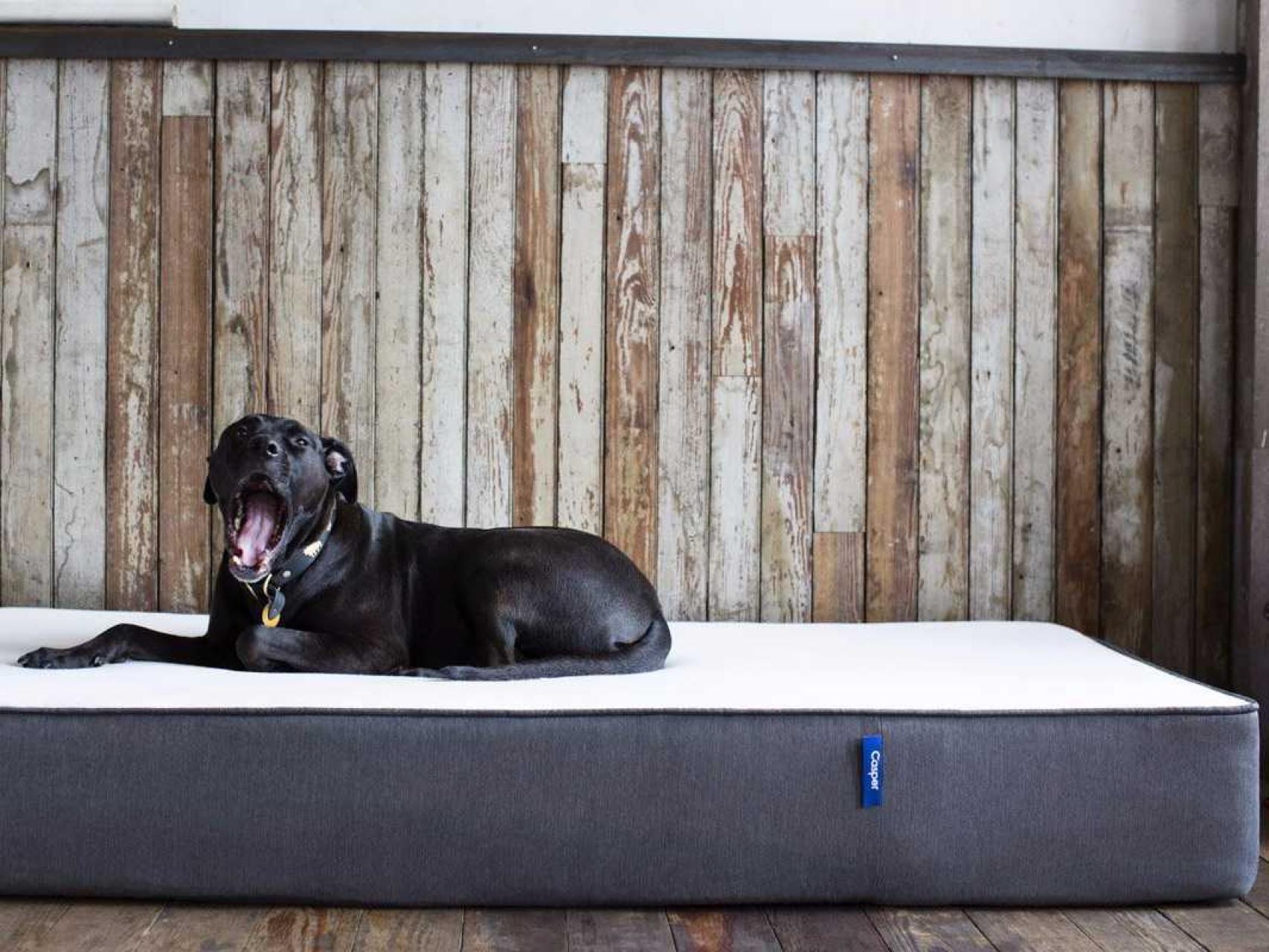 Un grupo de nuevos operadores ambicionan quedarse con el mercado de la venta de colchones.