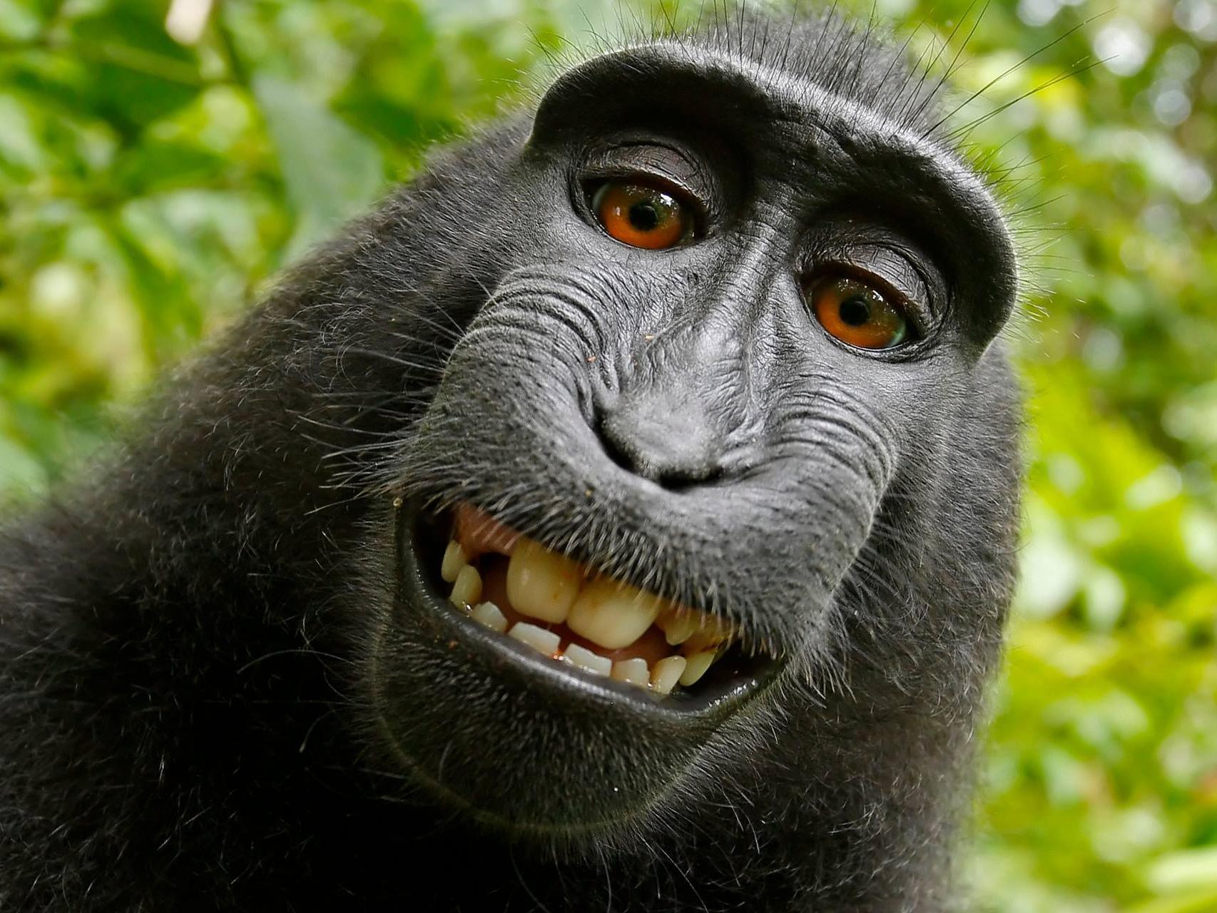 El selfie Naruto, en el quedó muy mono.