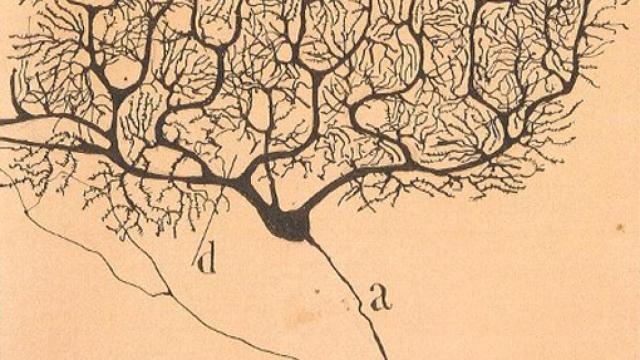 Image: El español, ante el 'agujero negro' de la ciencia