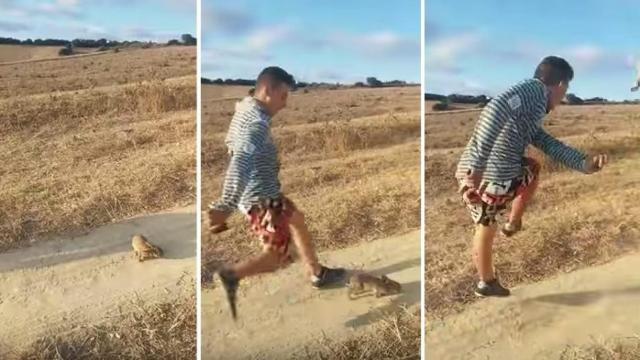 La policía busca al autor del vídeo que pateaba un conejo y Forocoches le apoya
