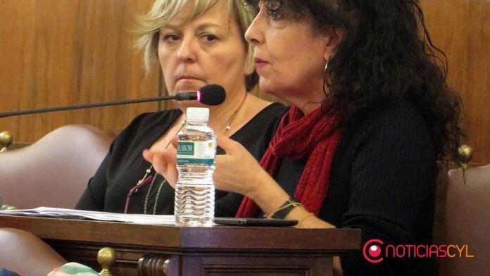 zamora pleno diputacion laura rivera