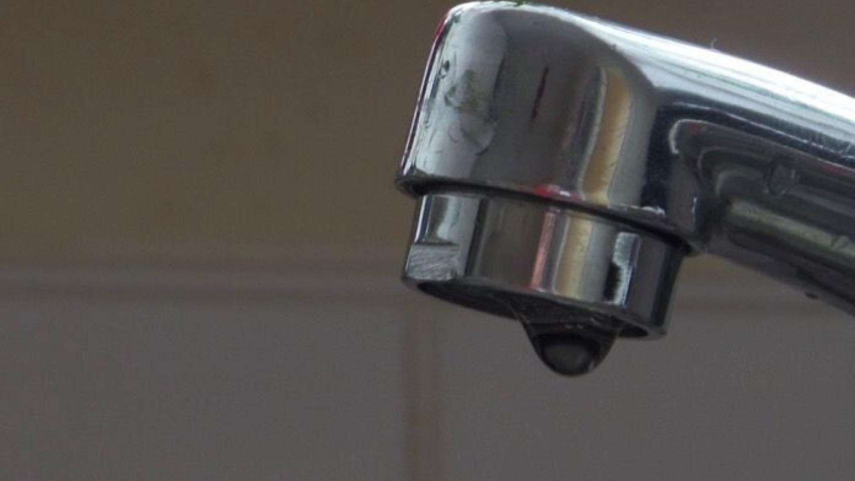 grifo agua 1