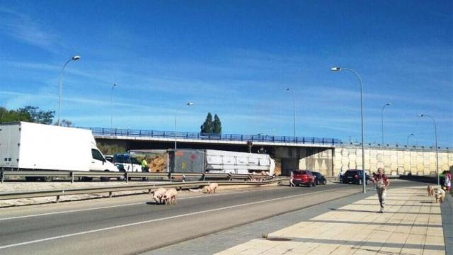 fotonoticia_20170726191654_1920