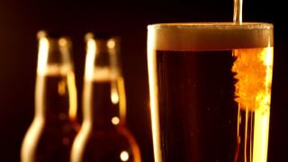 La mayoría de cervezas se fermentan con la ayuda de levaduras como la Saccharomyces cerevisiae.