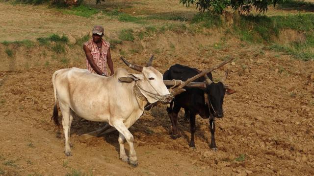 Montaje que representa el cambio climático.