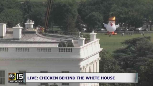 Chicken Don, tras la Casa Blanca.