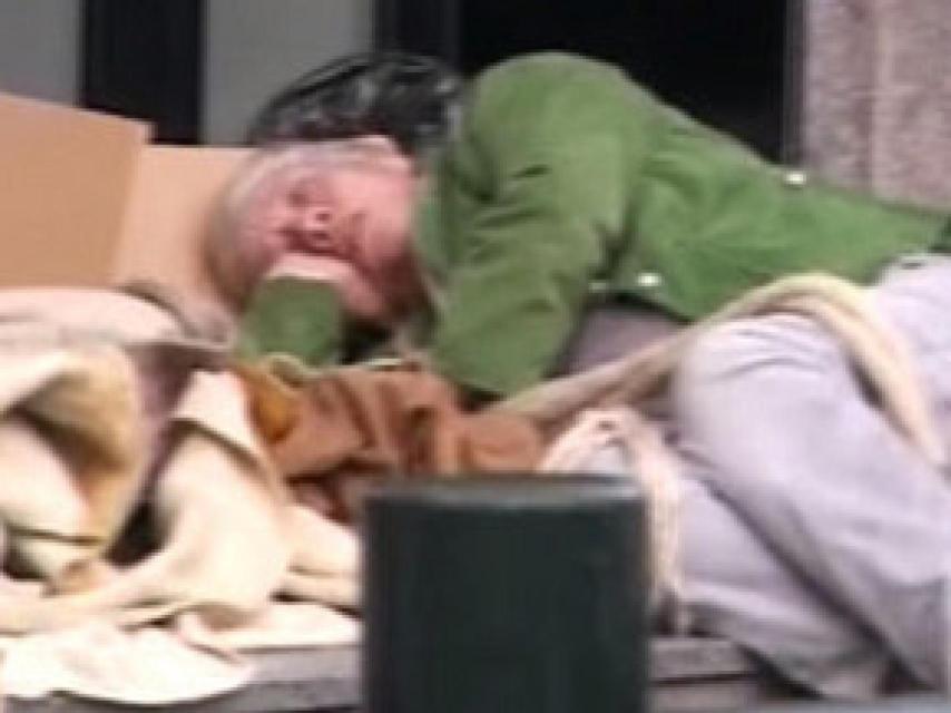 Terele, entre cartones.