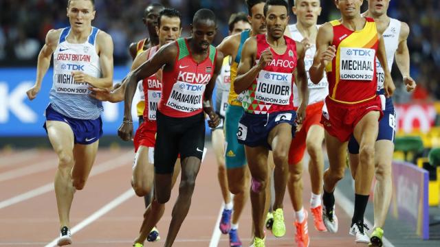Semifinal de 1.500 en la que Mechaal obtuvo billete para la final.