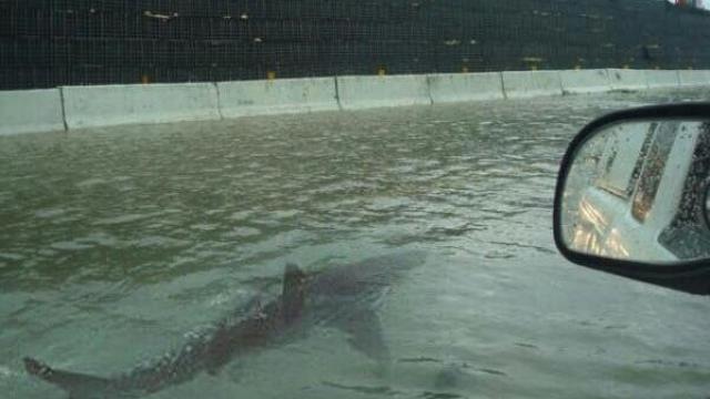 Esta imagen ha aparecido ya después de otros huracanes