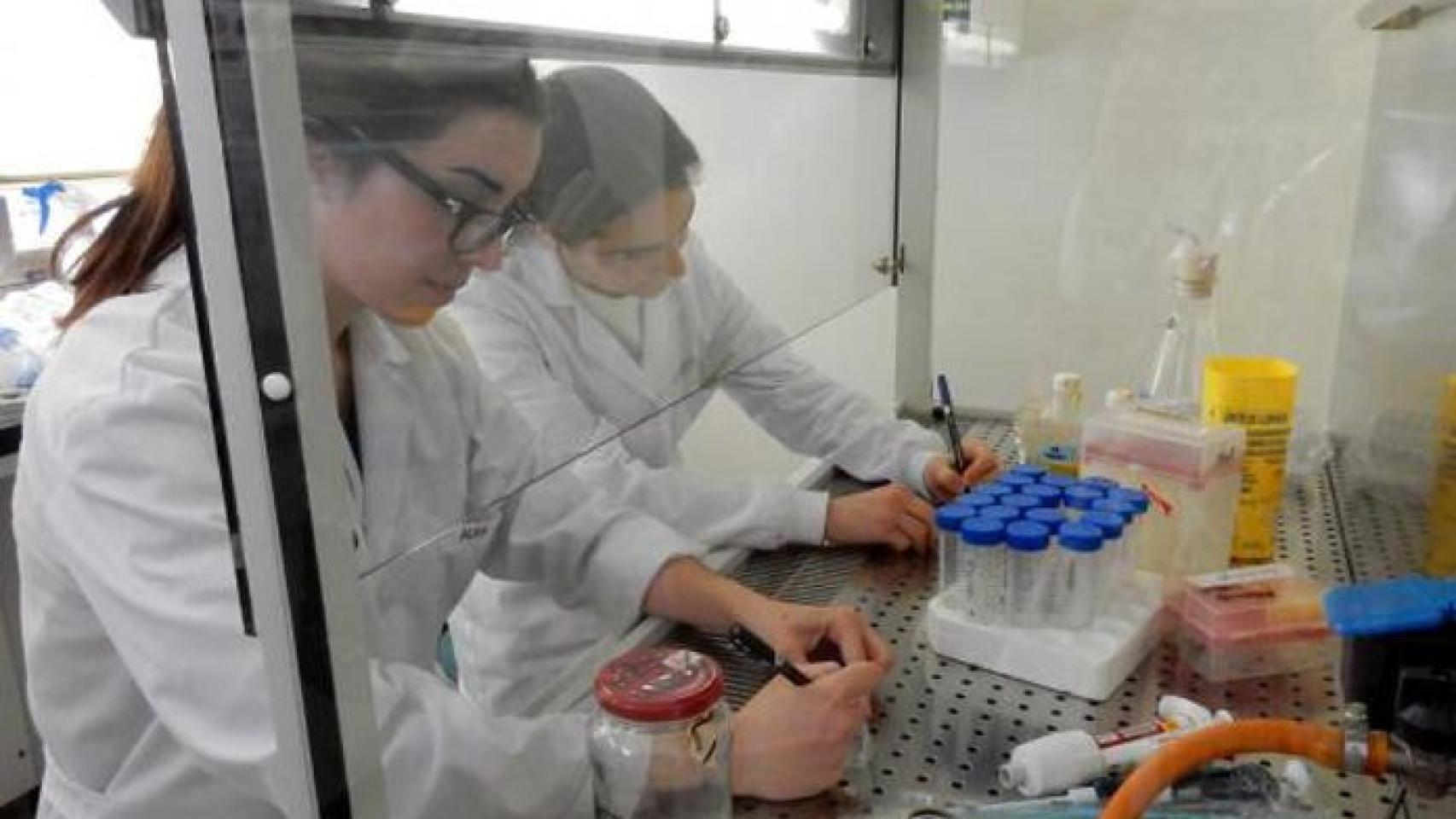 Foto Biologia Molecular-16.preview