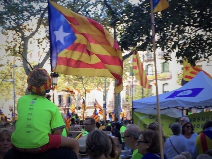 Niños en la manifestación de la última Diada.