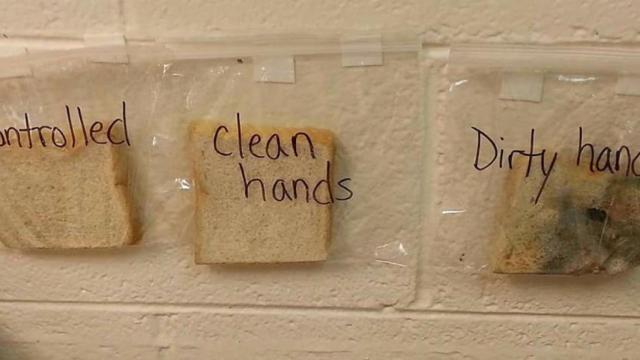 El experimento que hará que te laves siempre las manos antes de tocar comida