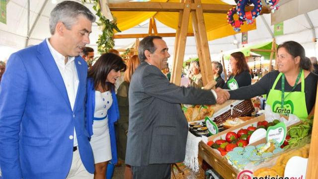 feria farta 2017 guarda (29)