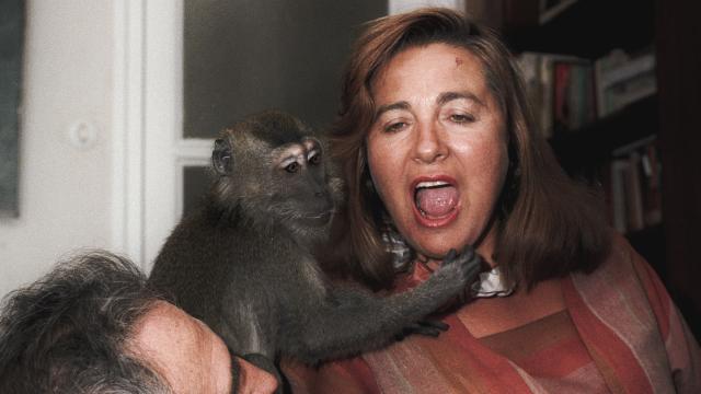 Julita Salmerón, la mujer que soñaba con hacer croquetas de Primo de Rivera.