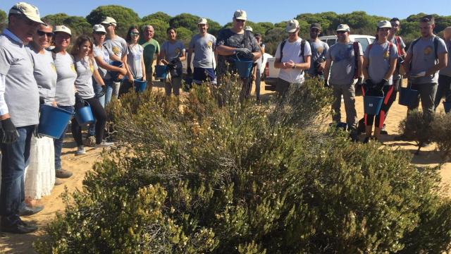 Organizan un encuentro de voluntarios para la restauración en el incendio en el entorno de Doñana