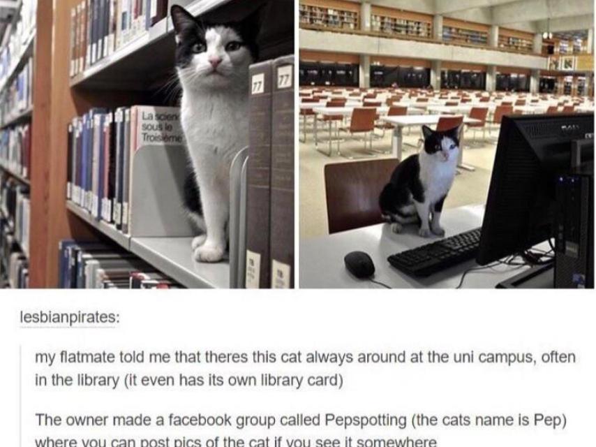 La imagen que lo empezó todo