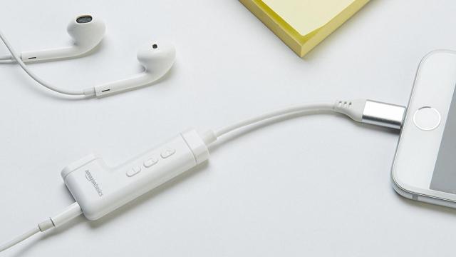 amazonbasics lightning jack 1