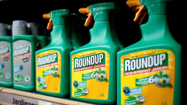 Monsanto es el principal productor de glifosato del mundo